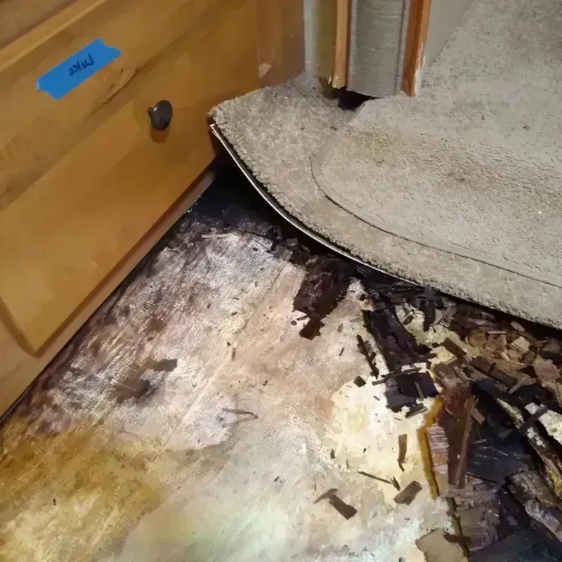 Wood Floor Water Damage in Jasper County, SC